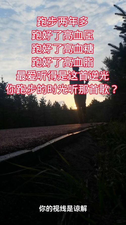 少龙的回忆下载，时光印记的珍贵回眸