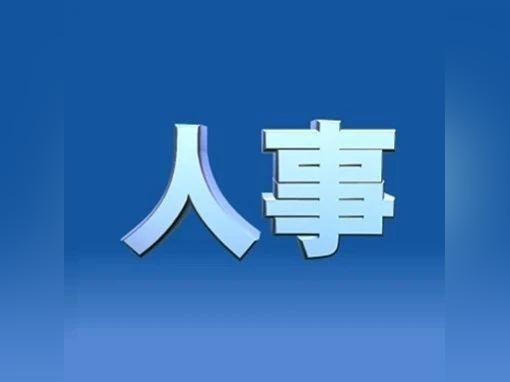 中央人事任免最新消息解读，涉政问题引关注