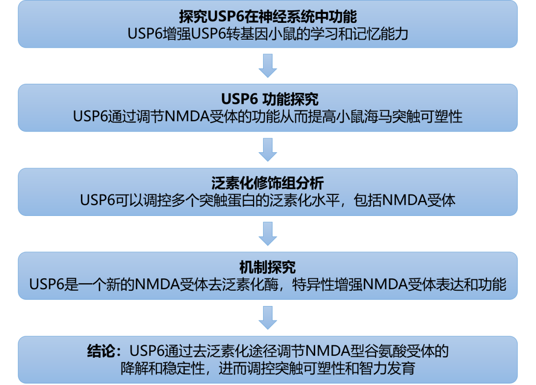 2024年12月5日 第47页