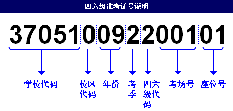 2024年12月5日 第30页